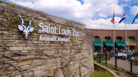 St Louis Zoo Package Deals Orbitz