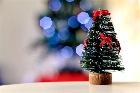 Cari ucapan natal dan tahun baru untuk dikirim ke kerabat atau sahabat? 10 Ucapan Natal 2020 untuk Dibagikan Kepada Keluarga, Teman yang Merayakannya - Metro Lampung News