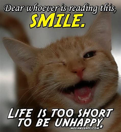Smile Dental Humor Life Cute Kitten Pics