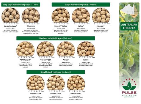 The Mystery Of Chickpea Varieties