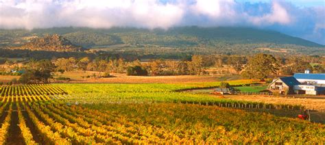 The Best Wineries In The Macedon Ranges Wine Selectors