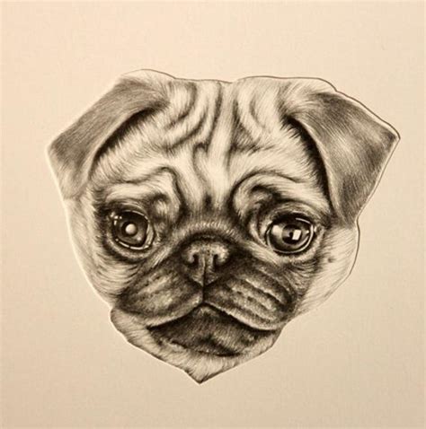 Items Similar To Cute Pug Puppy Pencil Drawing Print Hand