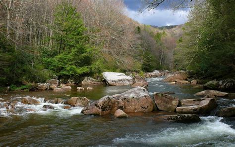 West Virginiawilliams River Monongahela National Forest Usa Rivers