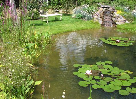 We did not find results for: Pond Gallery - Natural Gardens