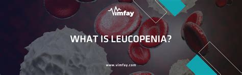 What Is Low Leukocyte Leukopenia What Causes It Treatment