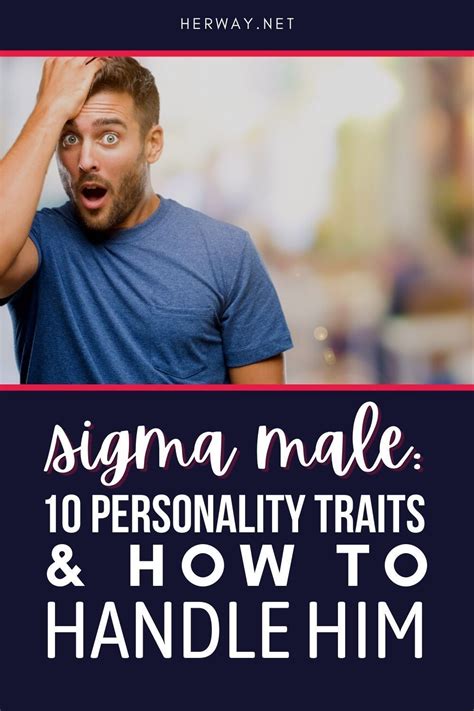 Sigma Male 20 Personality Traits And How To Handle Him Sigma Male