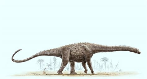 Interesting Facts About Argentinosaurus OhFact