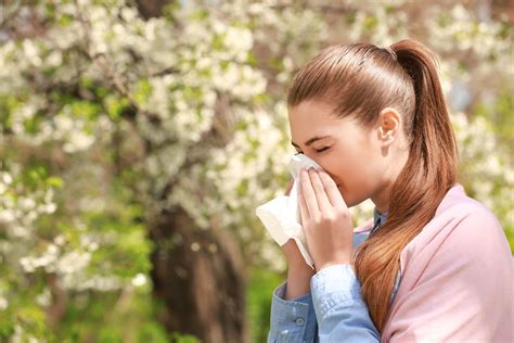 Sniffling Sneezing And Wheezing Avoiding Those Springtime Allergies