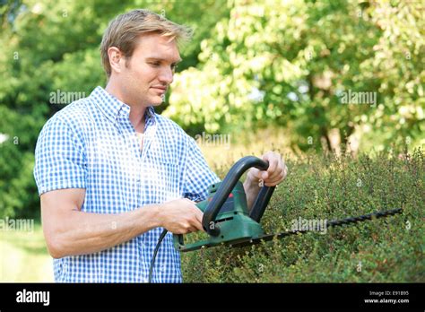 Man Cutting Garden Hedge With Electric Trimmer Stock Photo Alamy