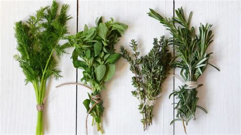 The Ultimate Guide To Cooking With Fresh Herbs Taste Of Home