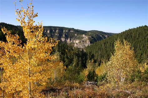 Best Time To See Fall Colors In South Dakota 2024 Roveme