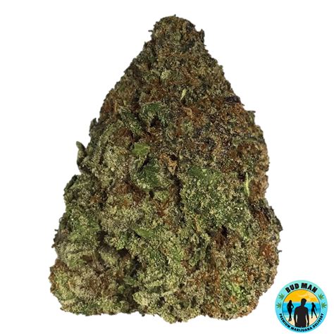 Uber Candy Haze Bud Man Orange County Dispensary Delivery