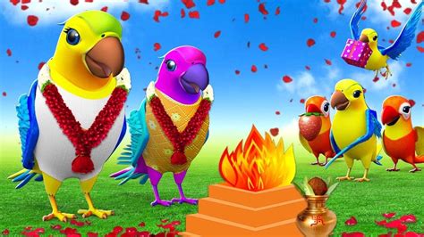 Chitti Chilakamma Parrots 3d Animation చిట్టి చిలకకు పెళ్ళంట