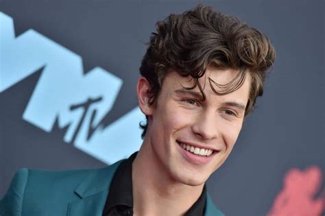 Shawn Mendes Biography The Reasons Behind His Ambitious Career Daily