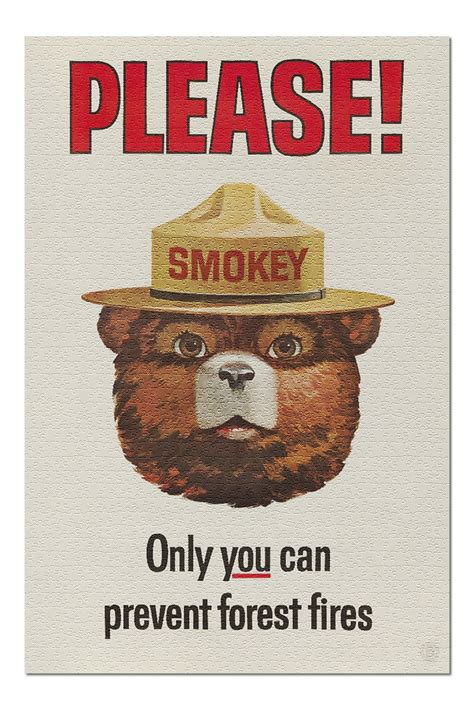 Smokey Bear Vintage Poster Only You Can Prevent Forest Fires 20x30