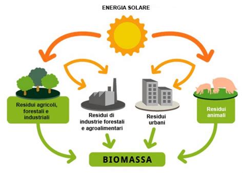 Energia Da Biomassa