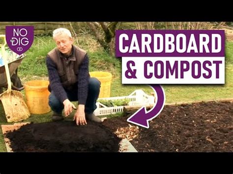 How To Start No Dig Gardening