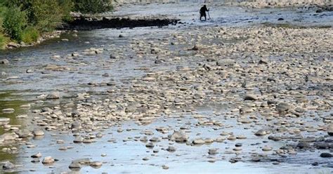 Drought Hits Lake Tahoe Drying Up Truckee River