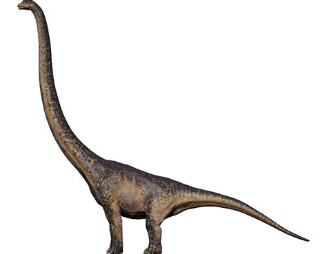 Mamenchisaurus In 2020 Prehistoric Animals Largest Dinosaur Dinosaur