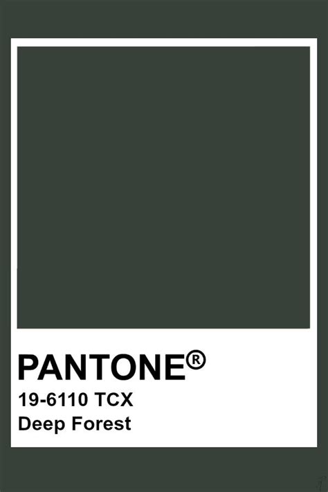 Pantone Deep Forest Pantone Colour Palettes Pantone Color Pantone