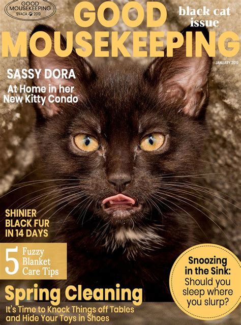 4of4long term volunteer willow liroff talks about cat adoption and the need for black cat adoption in particular at the oakland animal shelter in oakland, ca monday october 29th. I Created Faux Magazine Covers To Boost Black Cat Adoption ...