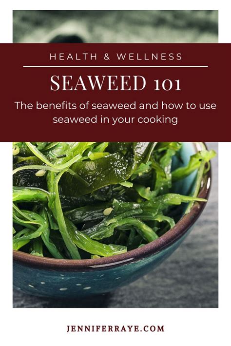 Seaweed 101 The Benefits Of Seaweed And How To Use Seaweed In Your