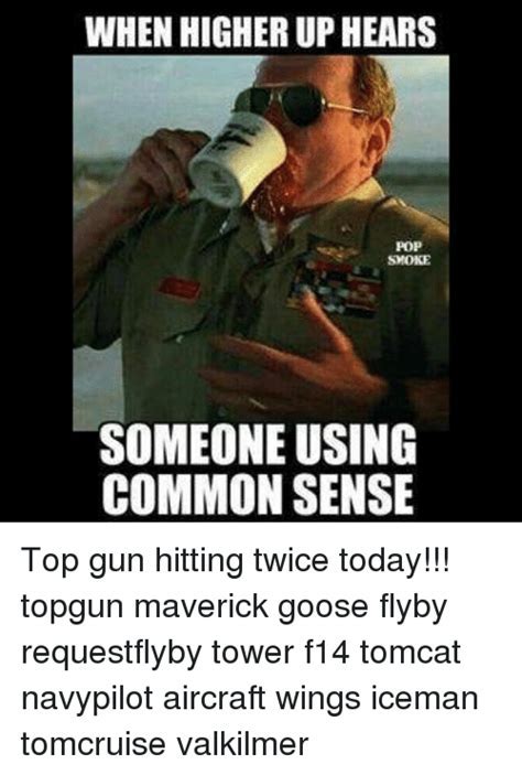 Top Gun Goose Memes
