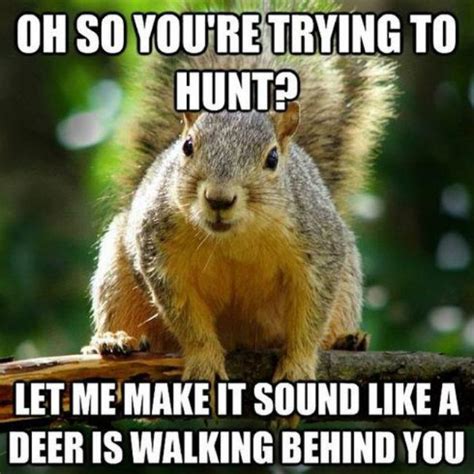 43 Very Funny Hunting Memes Images Graphics And Photos Picsmine