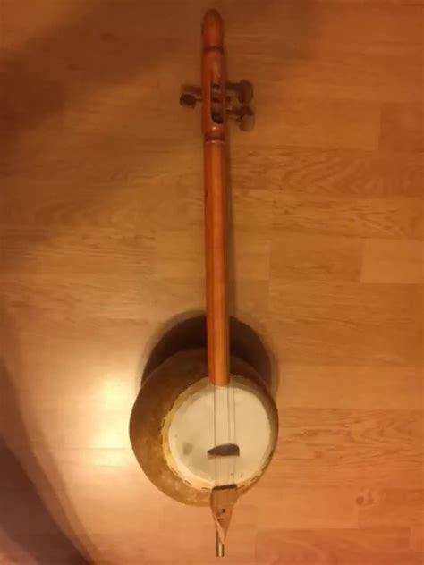 4 String Instrument With Round Resonator Runusualinstruments