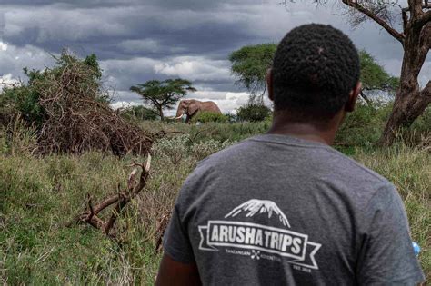 ENDUIMET WILDLIFE MANAGEMENT AREA (WMA) IN TANZANIA - Arusha Trips