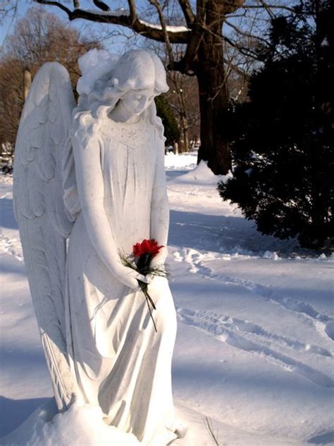 33 Best Snow Angels Images On Pinterest Snow Angels