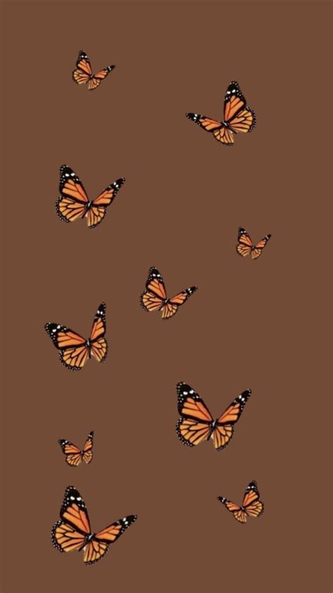 Update 55 Brown Butterfly Wallpaper Incdgdbentre