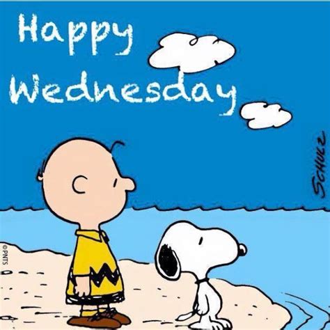 We did not find results for: Weekend Quotes : Happy Wednesday (With images) | Happy ...