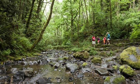 Kid Friendly Hikes The Official Guide To Portland