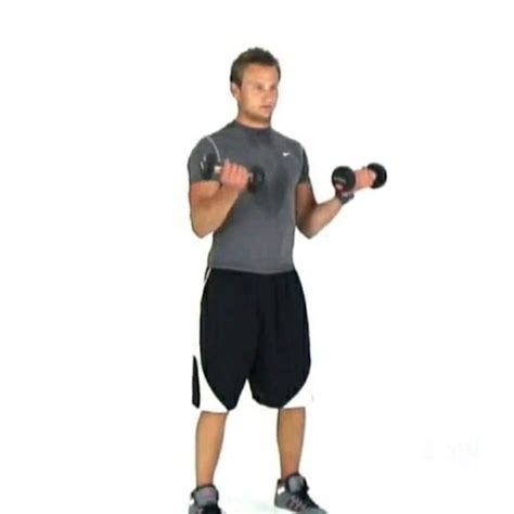 Front Underhand Dumbbell Curl Rows By Scott💪 Wood Exercise How To