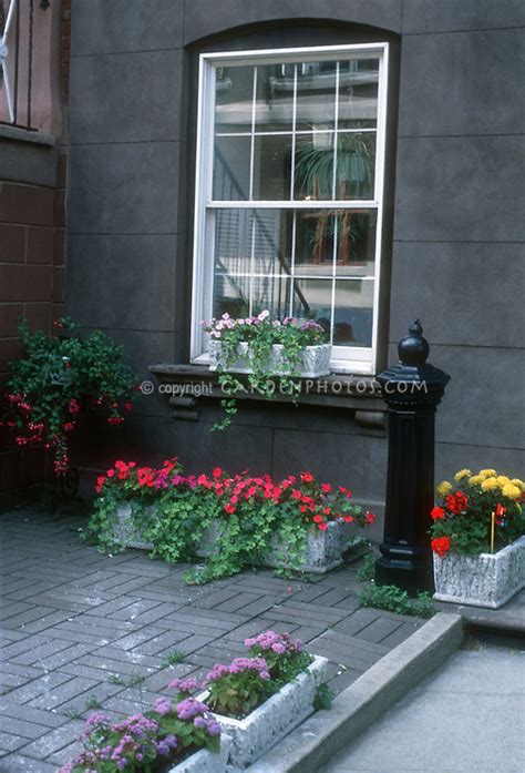 Tiny Courtyard Container Garden In Small Space Plant And Flower Stock