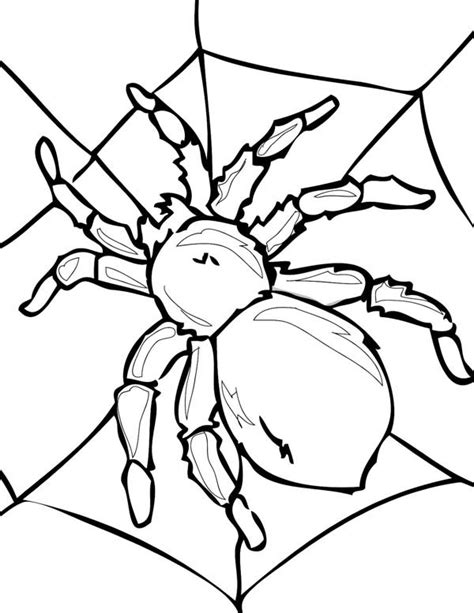 Find & download the most popular spider web vectors on freepik free for commercial use high quality images made for creative projects. Tarantula on His Spider Web Coloring Page - NetArt