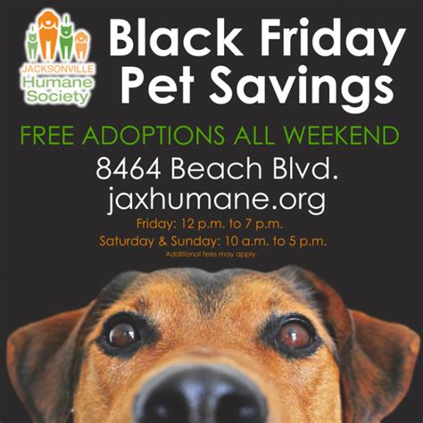 Why go to a dog breeder, cat breeder or pet store. Jacksonville Humane Society | Black Friday Weekend: Free ...