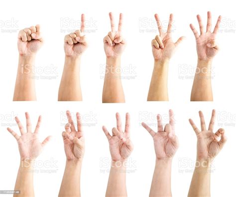 Hand Collection Of Count Numeric Sign Language Since Zero One Two Three
