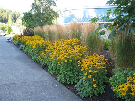 (see safety page) easy to use. Blogs & Blooms: More Deer Proof Plants