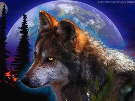 High Quality Wallpapers 3d Wolf Photos
