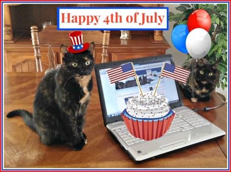 This independence day brings forth a new hope to make our tomorrows most beautiful and cherished. Happy 4th of July 2015 - The Conscious Cat