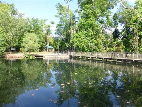 Yazarlık kariyerine bir gazeteci olarak başladı, ancak 1934'ten itibaren yetişkinler ve çocuklar için çok. Howard Springs Nature Park (Darwin) - 2020 All You Need to ...