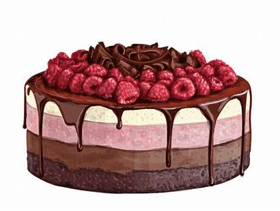 Cake Drawing Chocolate Dribbble Birthday Cakes Vector