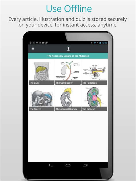 Teach Me Anatomy For Android Apk Download