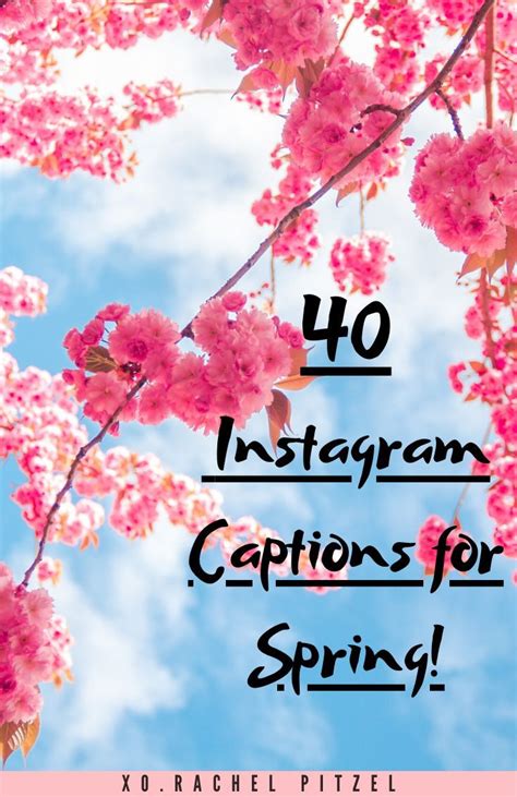 40 Instagram Captions For Spring Good Instagram Captions Instagram