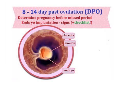 Symptoms Of Implantation After Ovulation Pregnancy Test