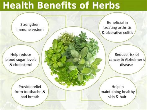 Herbs What Are Herbs Common Herbs Health Benefits Of Herbs