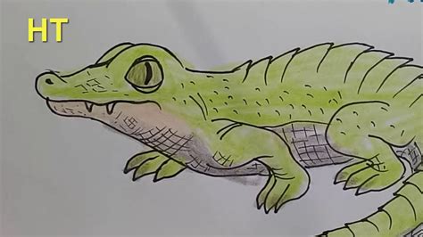 How To Draw A Cute Alligator