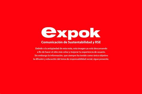 15 soluciones para los problemas ambientales más preocupantes - ExpokNews